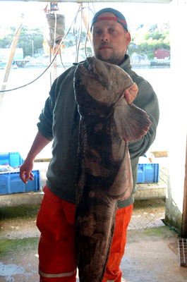 Uwe mit sch�nem Catfish